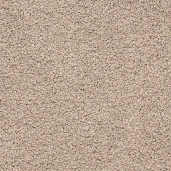 Masland Carpets Ravishing Rapturous Masland