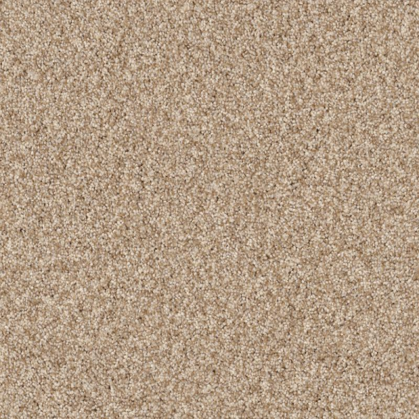 Tuftex Terra Nova Reed SHAW