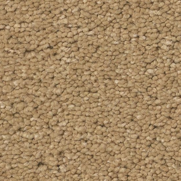 Tuftex Elegant Beauty Winter Wheat SHAW