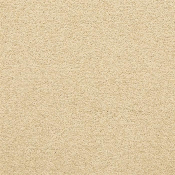 Masland Carpets Patriot Leisure Masland