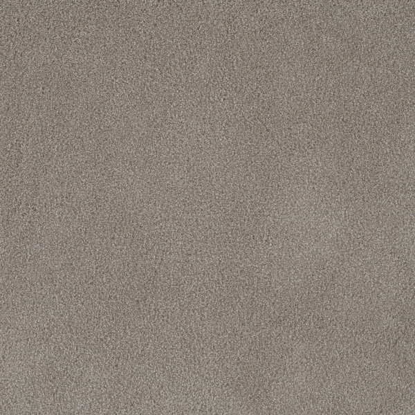 Dreamweaver Carpet Palmetto III Havana DREAMWEAVER