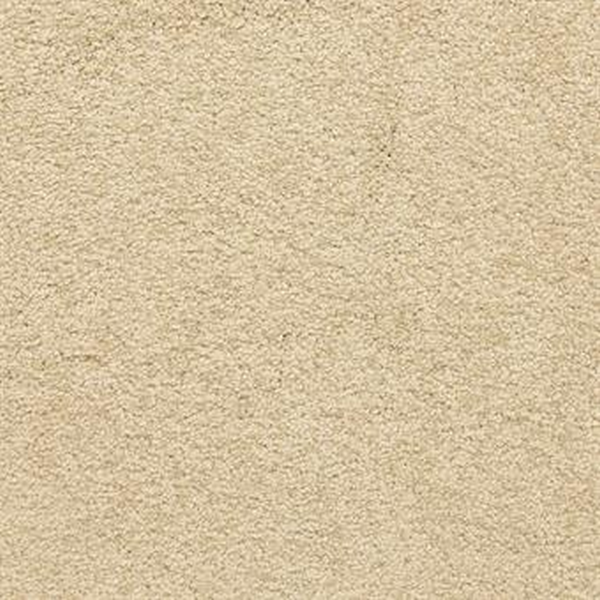 Masland Carpets Knockout Loyal Masland