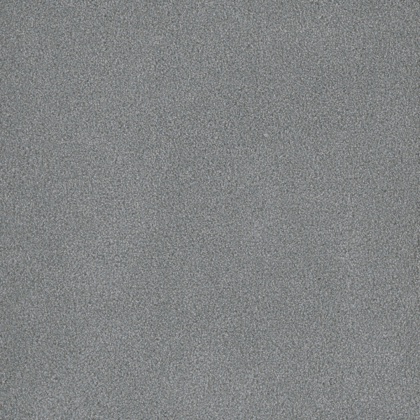 Dreamweaver Carpet Palmetto III Skylight DREAMWEAVER