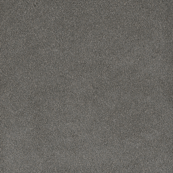 Dreamweaver Carpet Palmetto III Bay Leaf DREAMWEAVER