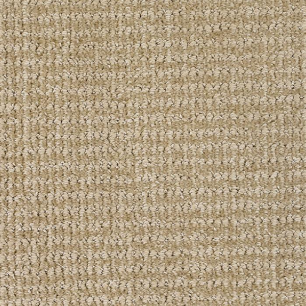 Masland Carpets Serene Touch Patient Masland