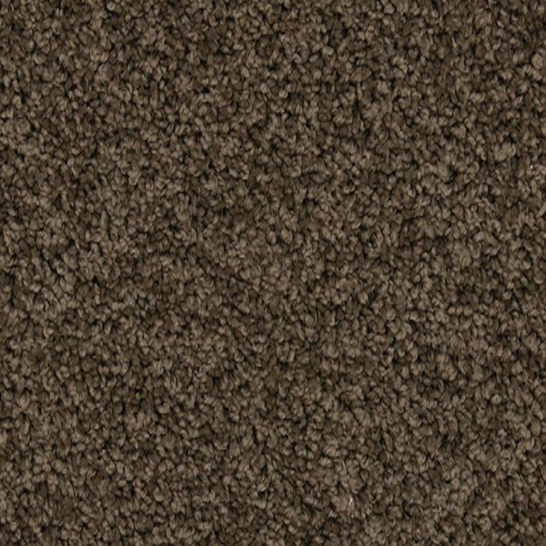 Mohawk Carpet Renovate I 12 Husk Mohawk