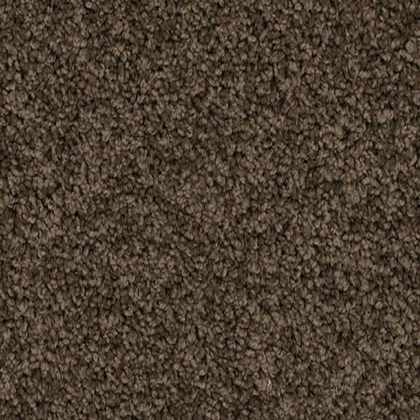 Mohawk Carpet Renovate I 15 Husk Mohawk