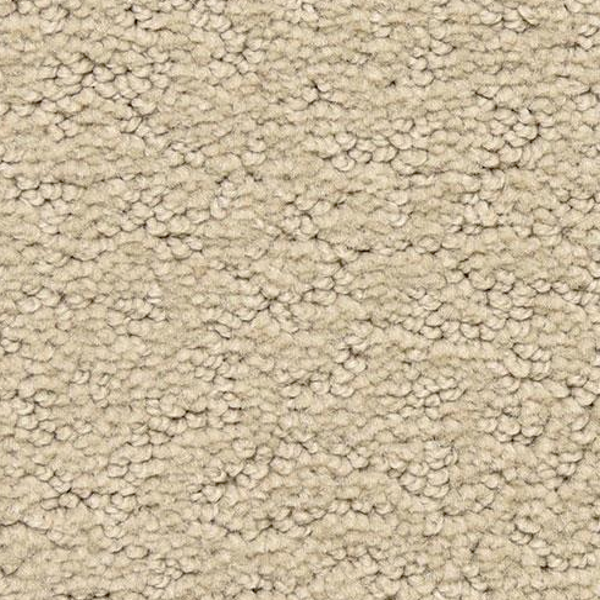 Dixie Home Prize Winner Premier