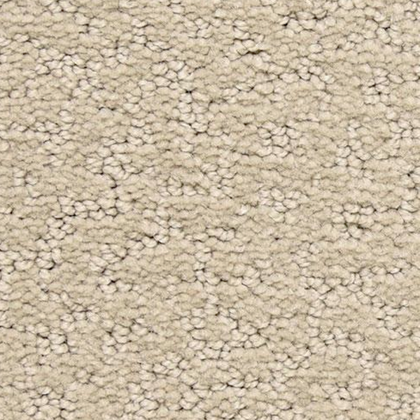 Dixie Home Prize Winner Treasure