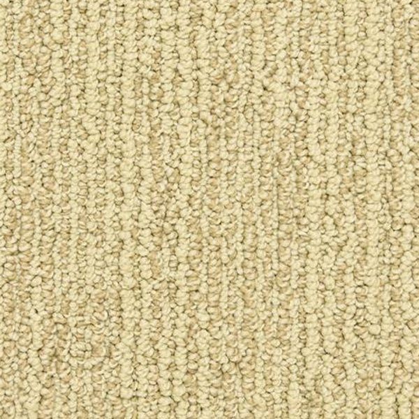 Dixie Home Advocate Treasure