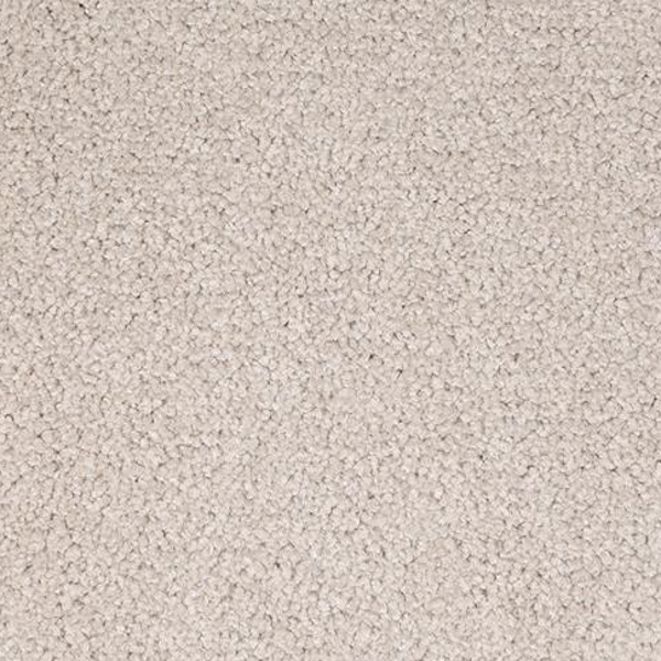 Dixie Home Spectrum Treasure