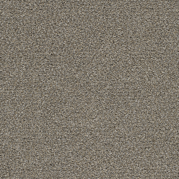 Dreamweaver Carpet Gold Standard III Pewter DREAMWEAVER
