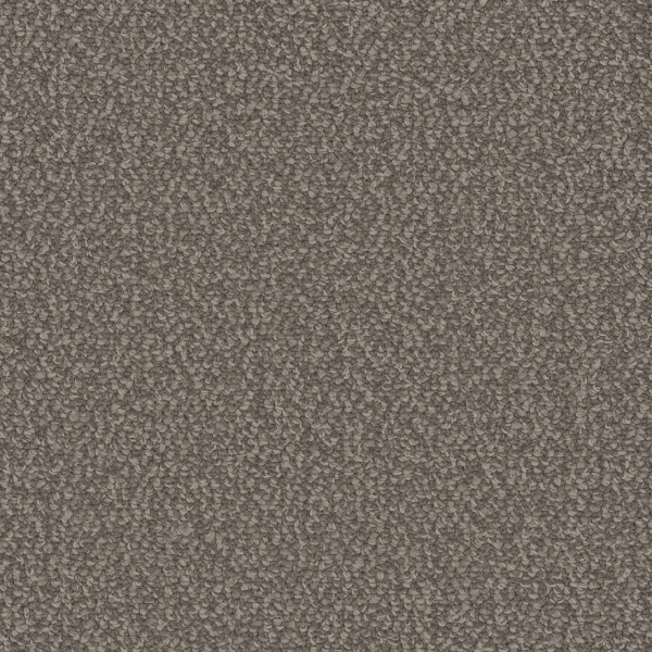 Dreamweaver Carpet Interstellar Molasses DREAMWEAVER