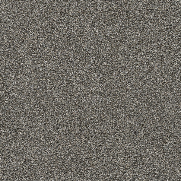 Dreamweaver Carpet Gold Standard I Graphite DREAMWEAVER