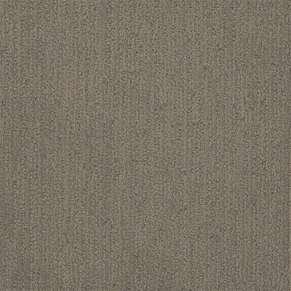 Dreamweaver Carpet Surfside Castleberry DREAMWEAVER