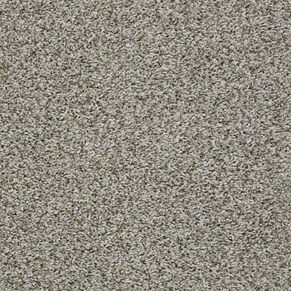 DesignTek Carpet Sensational Driftwood DESIGNTEK