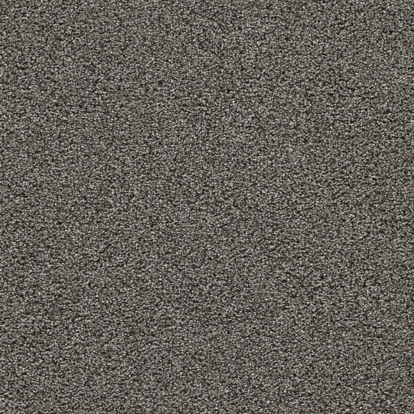 Dreamweaver Carpet Gold Standard II Zinc DREAMWEAVER