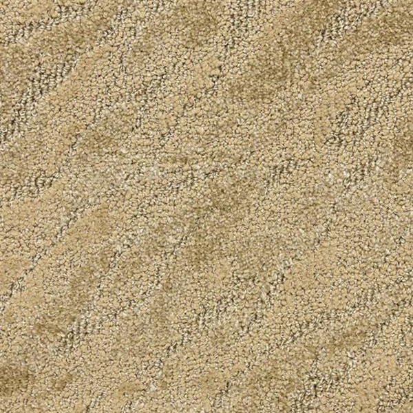 Masland Carpets Gamma Electrode Masland