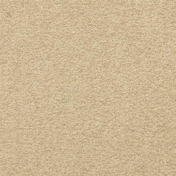 Masland Carpets Patriot Secluded Masland
