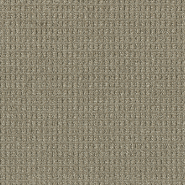 Dreamweaver Carpet Perfect Balance Regal DREAMWEAVER