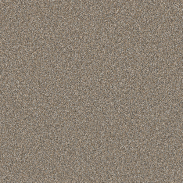 Dreamweaver Carpet Excalibur II Basalm DREAMWEAVER