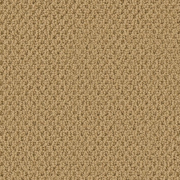 Tuftex Gracious Summer SHAW