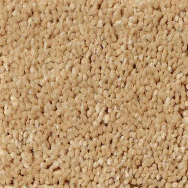 Shaw Floors All Star Weekend I 12' Sun Beam SHAW