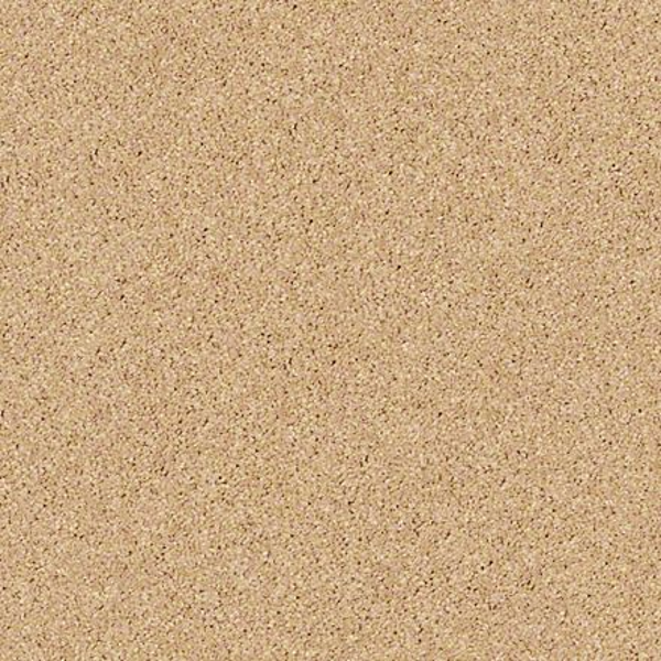 Shaw Floors All Star Weekend I 15' Sun Beam SHAW