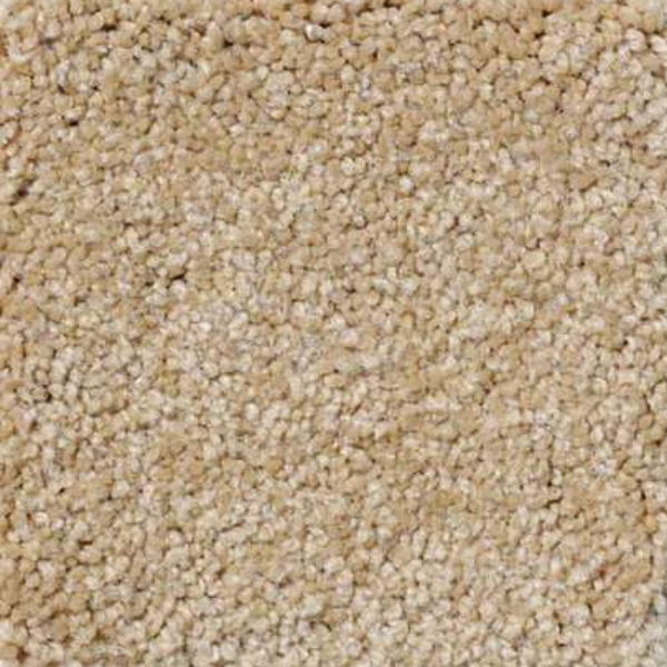 Shaw Floors Magic At Last IV 12' Blonde SHAW