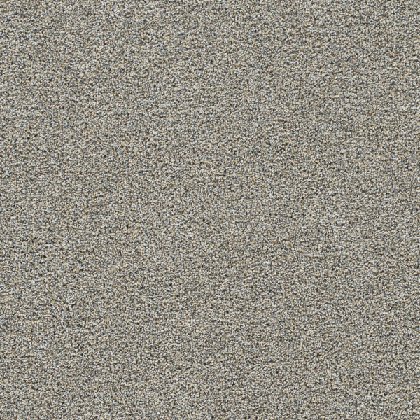 Dreamweaver Carpet Gold Standard II Crystal DREAMWEAVER