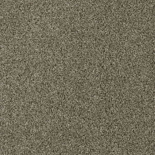 Dreamweaver Carpet Yellowstone Monaco DREAMWEAVER