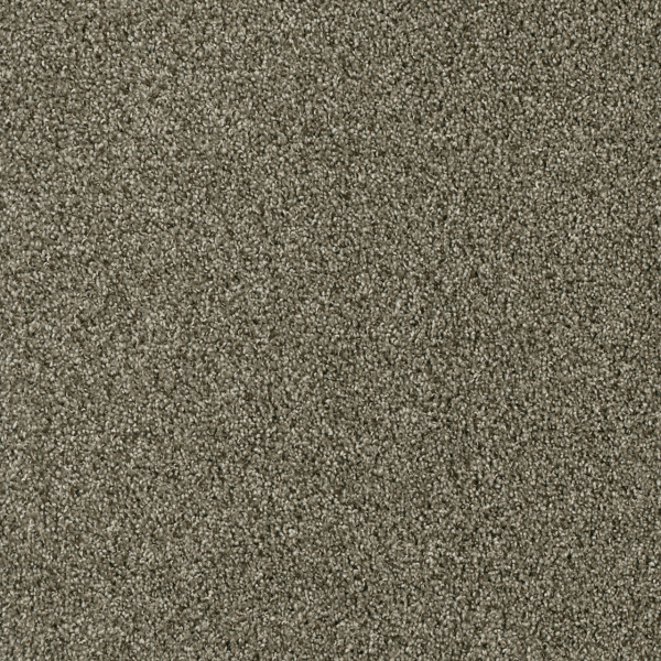 Dreamweaver Carpet Acclaim Monaco DREAMWEAVER