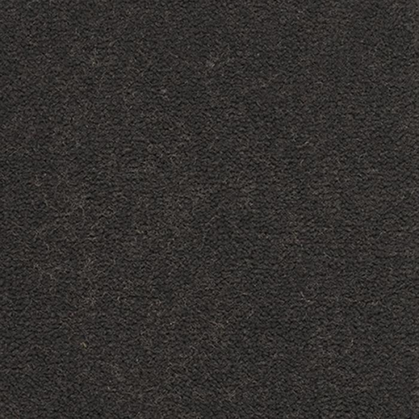 Masland Carpets Panache Tempest Masland