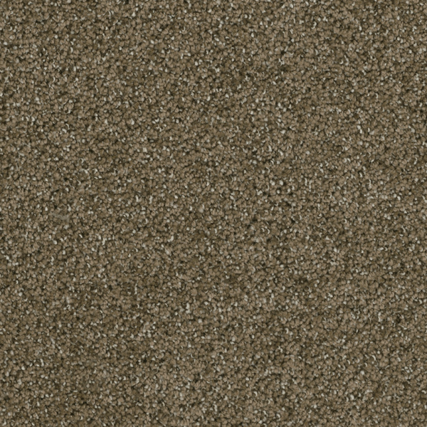 Dreamweaver Carpet Brazen I Brandywine DREAMWEAVER