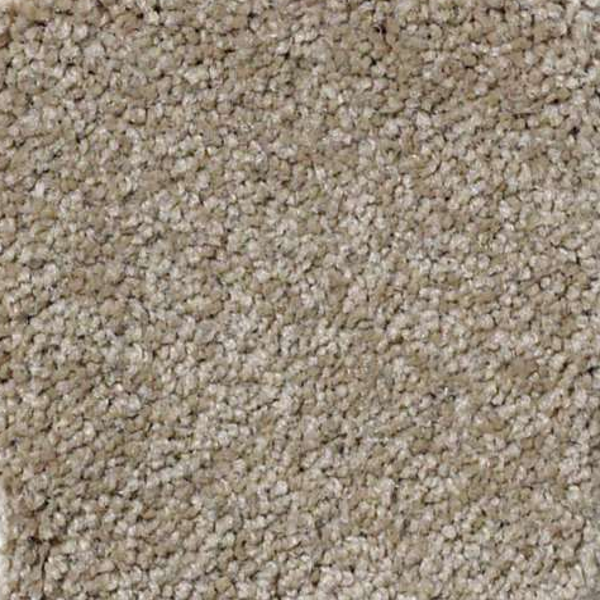 Shaw Floors Magic At Last III 15' Cardboard SHAW