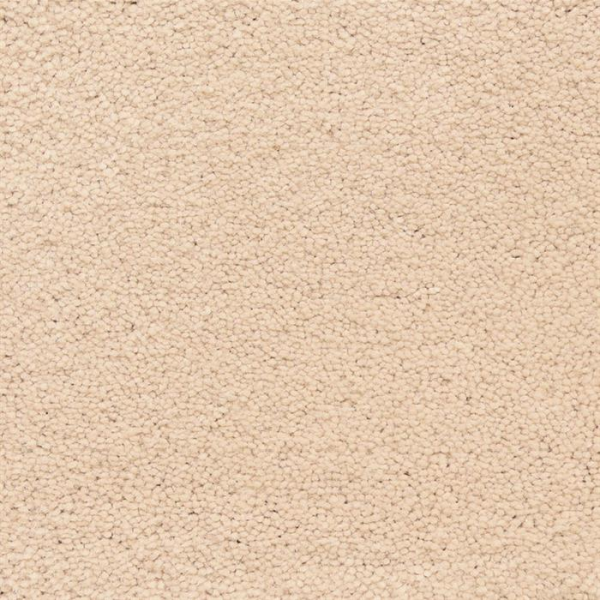 Masland Carpets Ravishing Beaming Masland