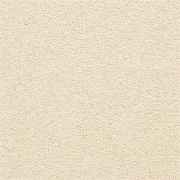 Masland Carpets Knockout Powder Masland