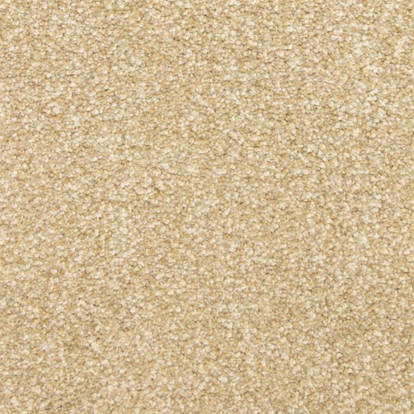 Masland Carpets This and That Autumn Wind Masland