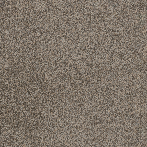Dreamweaver Carpet Trendsetter I Twig DREAMWEAVER