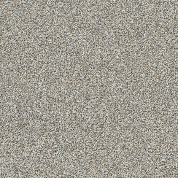 Dreamweaver Carpet Lucky Penny I Burnished DREAMWEAVER