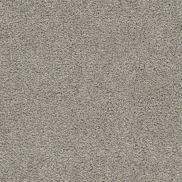 Dreamweaver Carpet Gold Standard I Sterling DREAMWEAVER