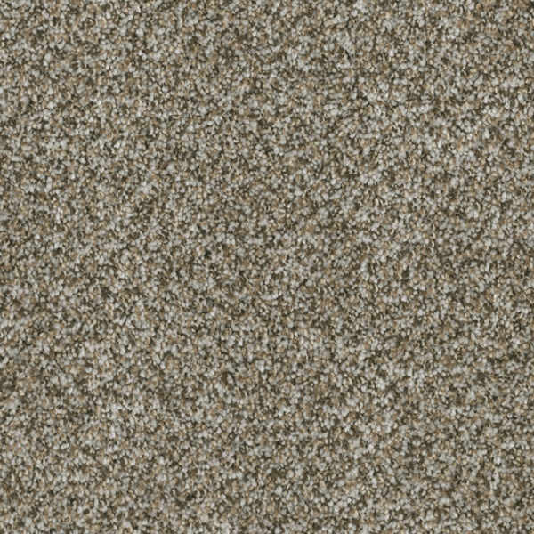 Dreamweaver Carpet Brazen II Moonshine DREAMWEAVER