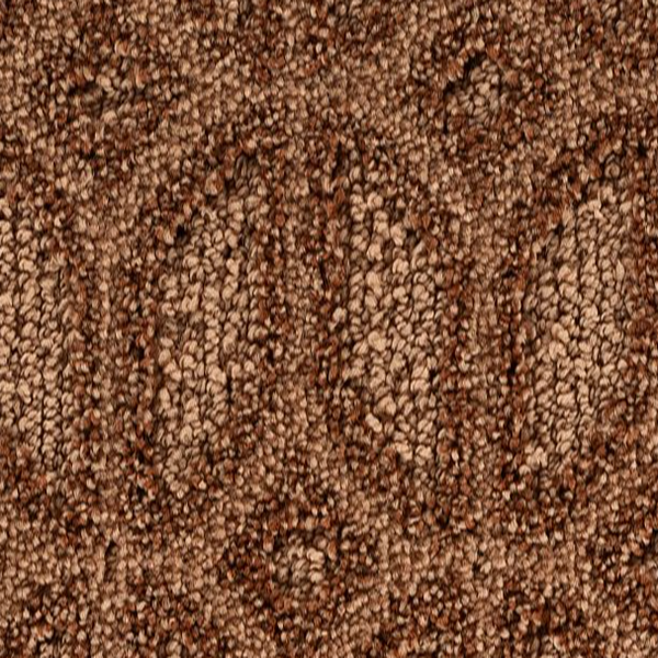 Horizon Carpet Regal Appeal Renew Mohawk