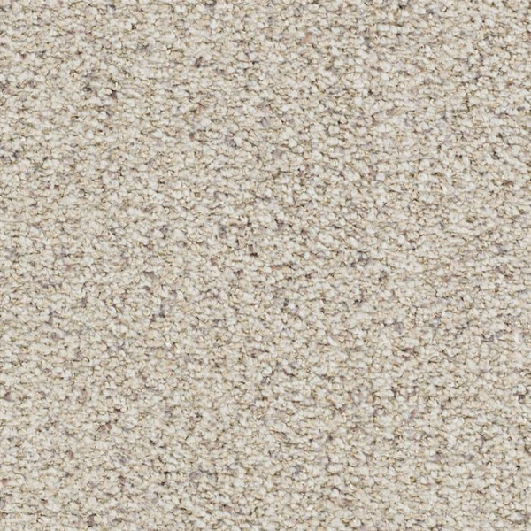 Masland Carpets St Augustine 1 Masland