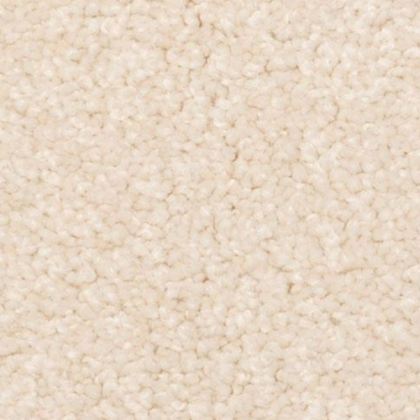 Dixie Home Cozy Desert Pearl