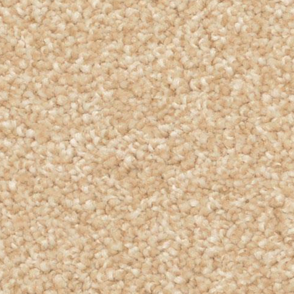 Dixie Home Delight Camelite