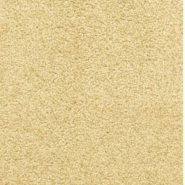 Dixie Home Star Power Camelite