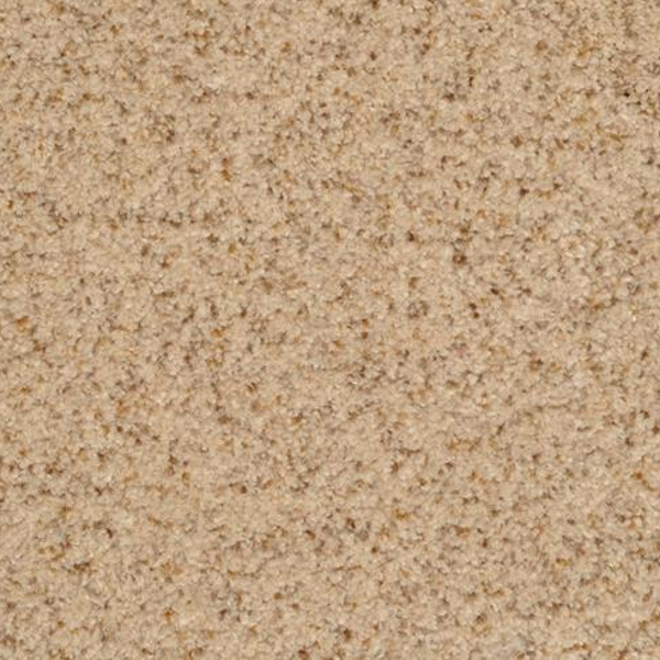 Dixie Home Chromatic Touch Oatmeal