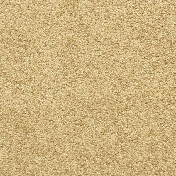 Dixie Home Star Power Suede