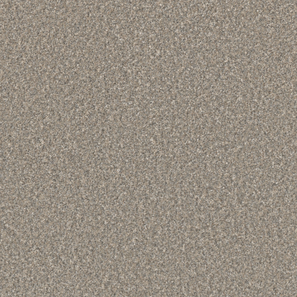 Dreamweaver Carpet Excalibur III Breezeway DREAMWEAVER